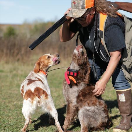 Woman holding a break-action shotgun over the shoulder with two hunting dogs