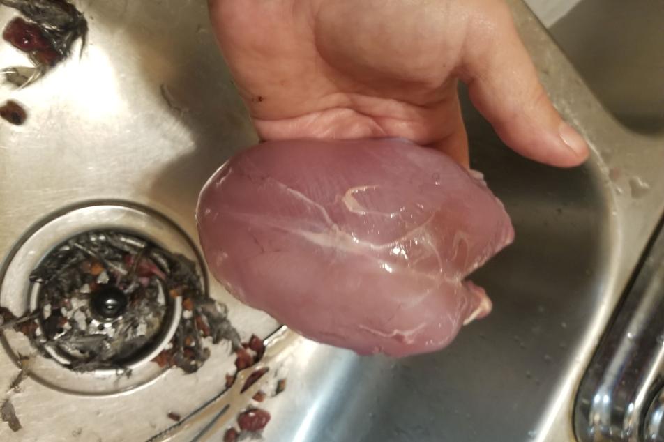 grouse
