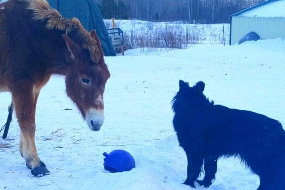 standoff