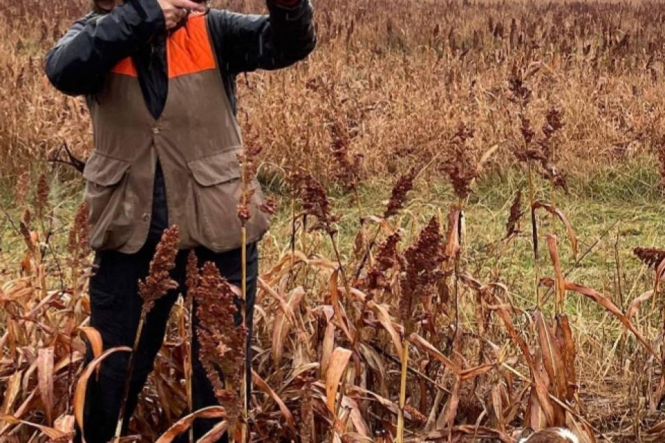 photo of River starting the hunt and following directions 