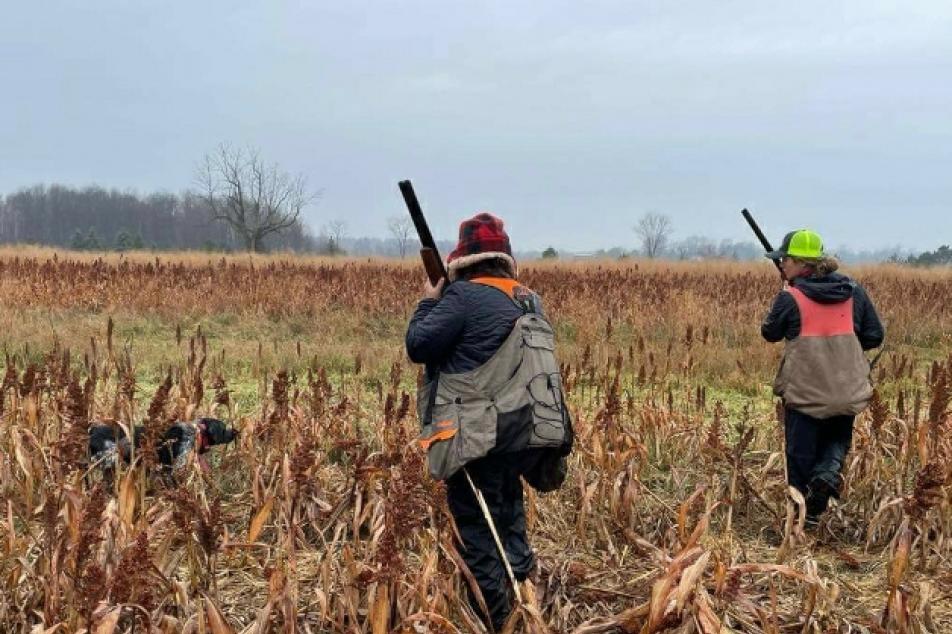 Roky following commands on a hunt 