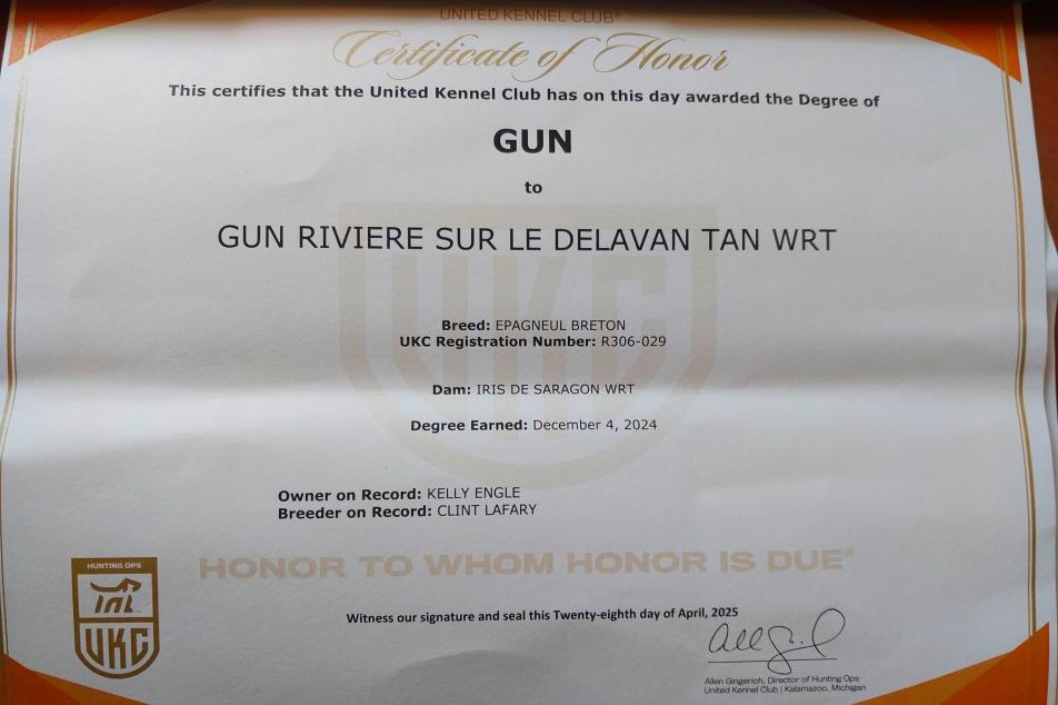 river 2025 gun
