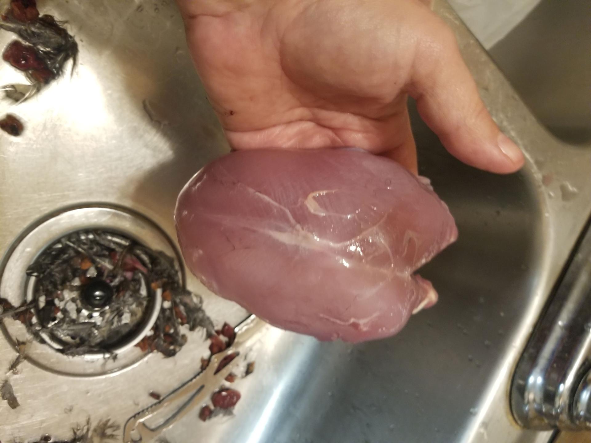 grouse
