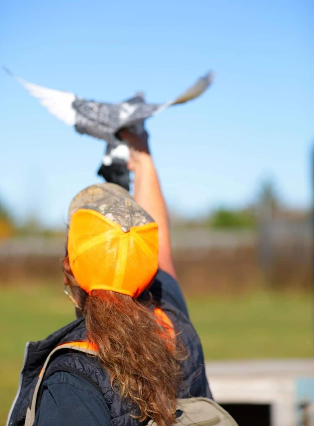 fly