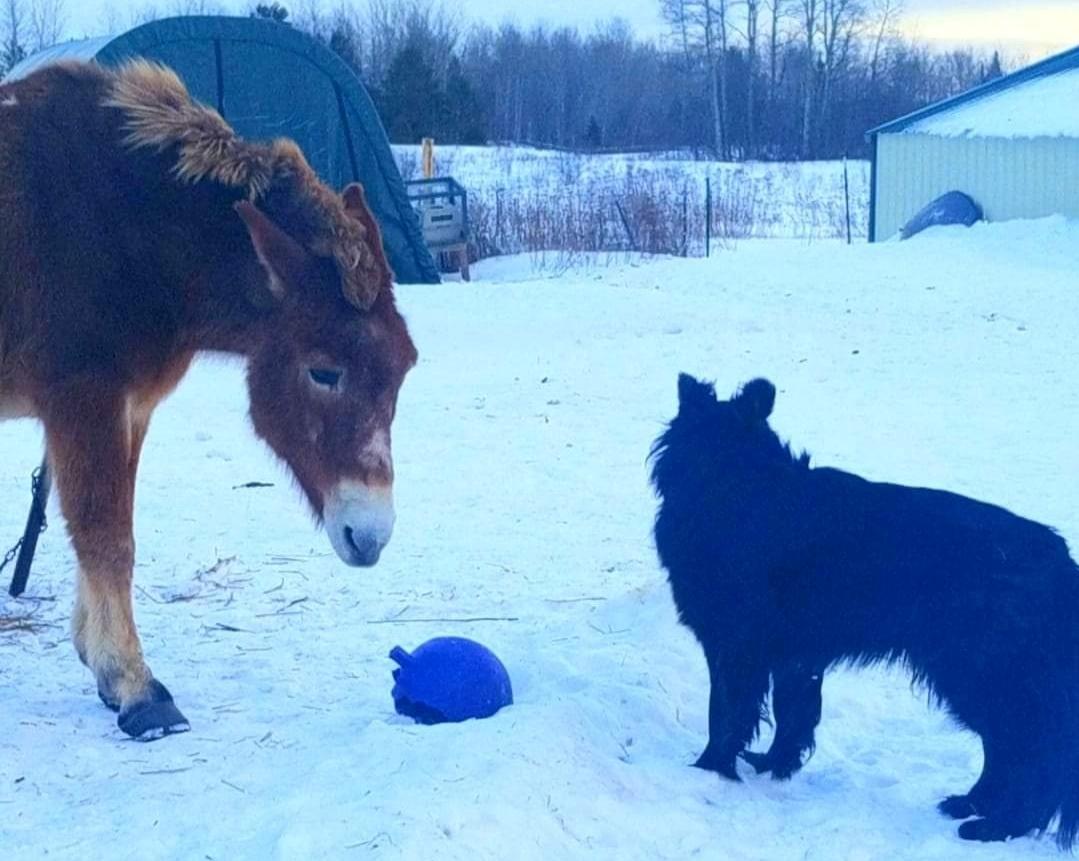 standoff