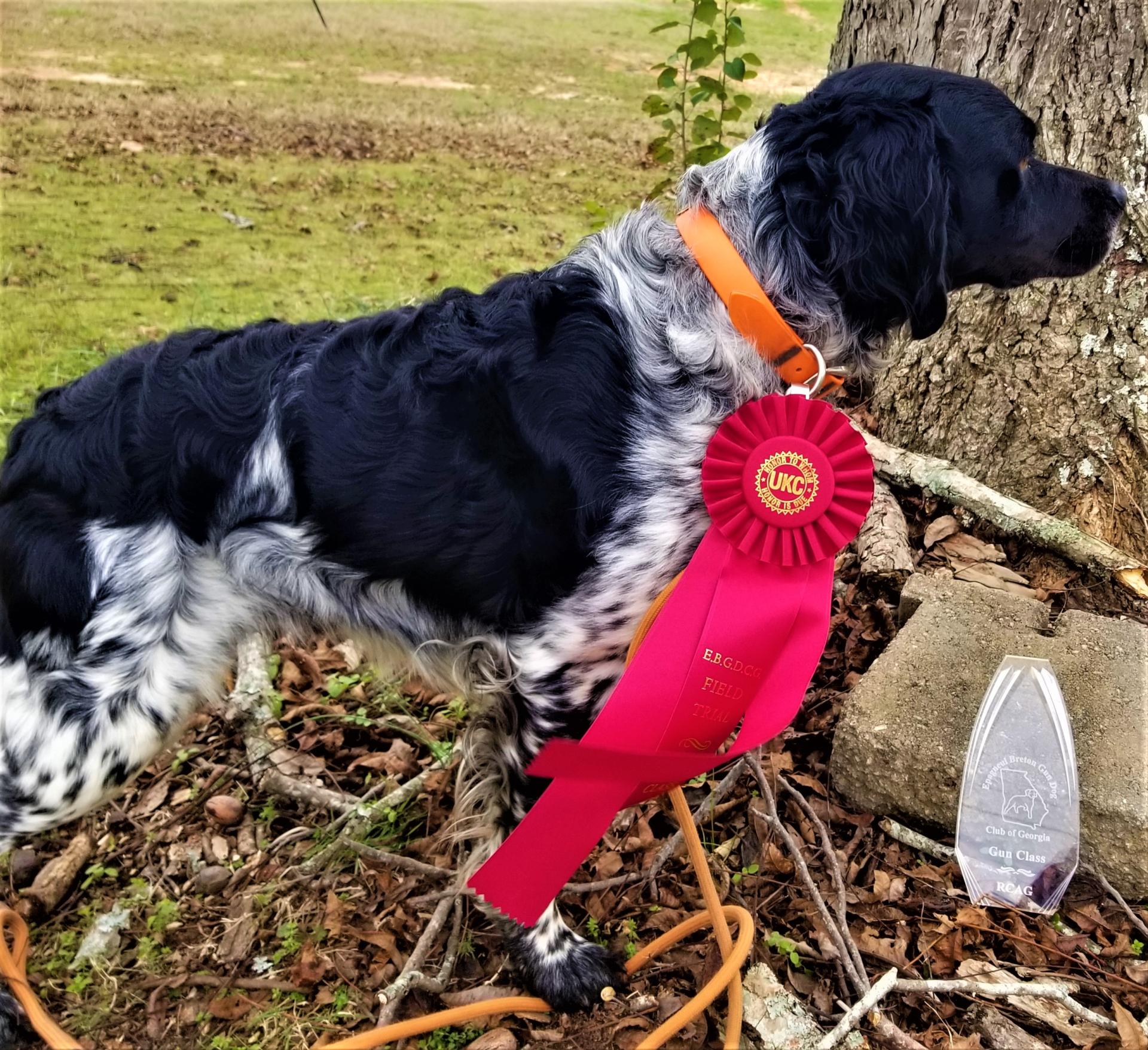 Roky with his awards after a show 