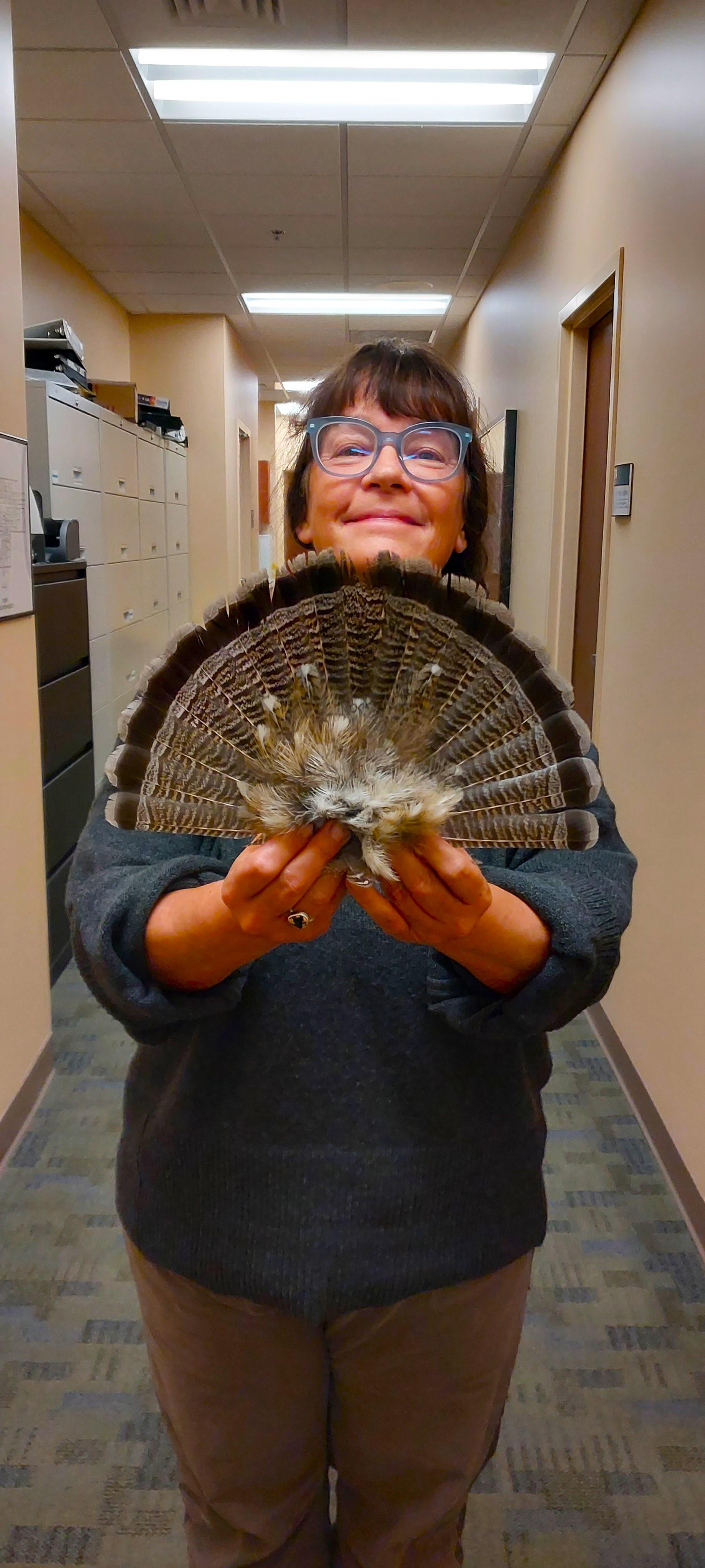 fan